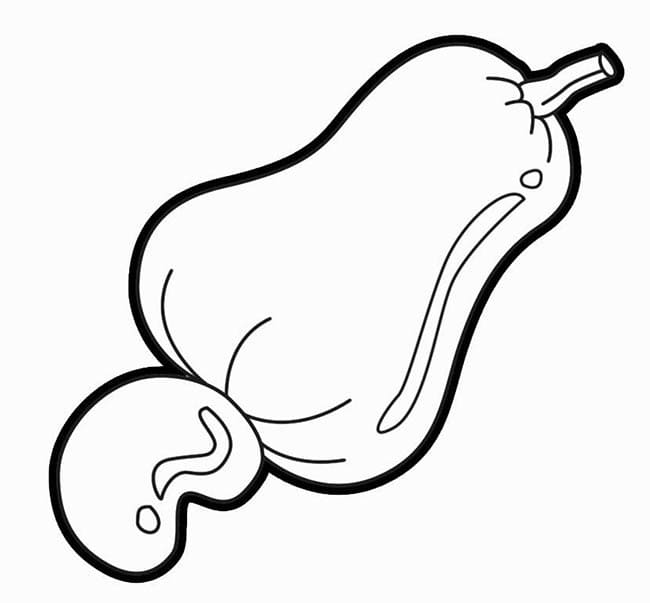 Desenho de um Caju para Colorir