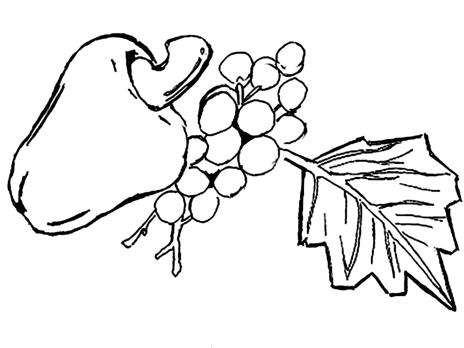 Desenho para Imprimir de Caju para Colorir