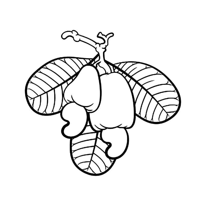 Desenhos de Caju para Colorir