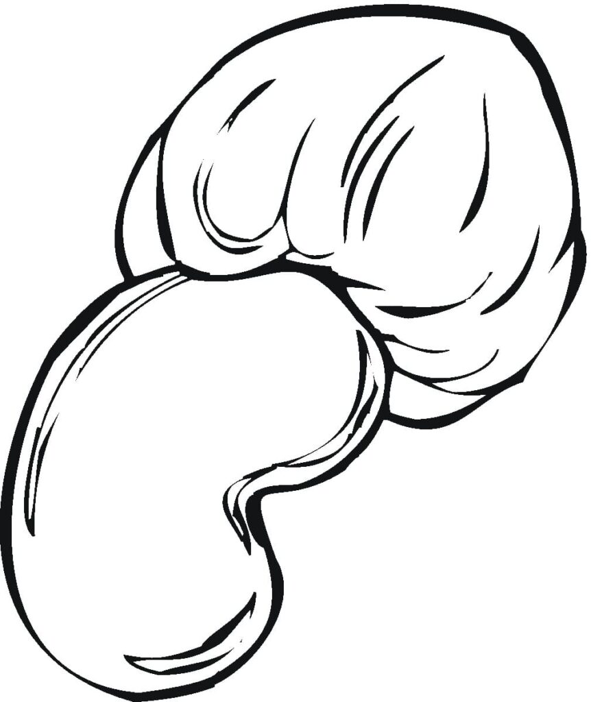 Desenho Realista de Caju para Colorir