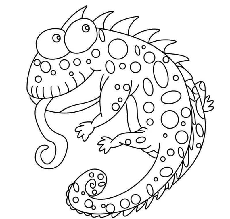 Desenho Camaleão de Jackson para Colorir