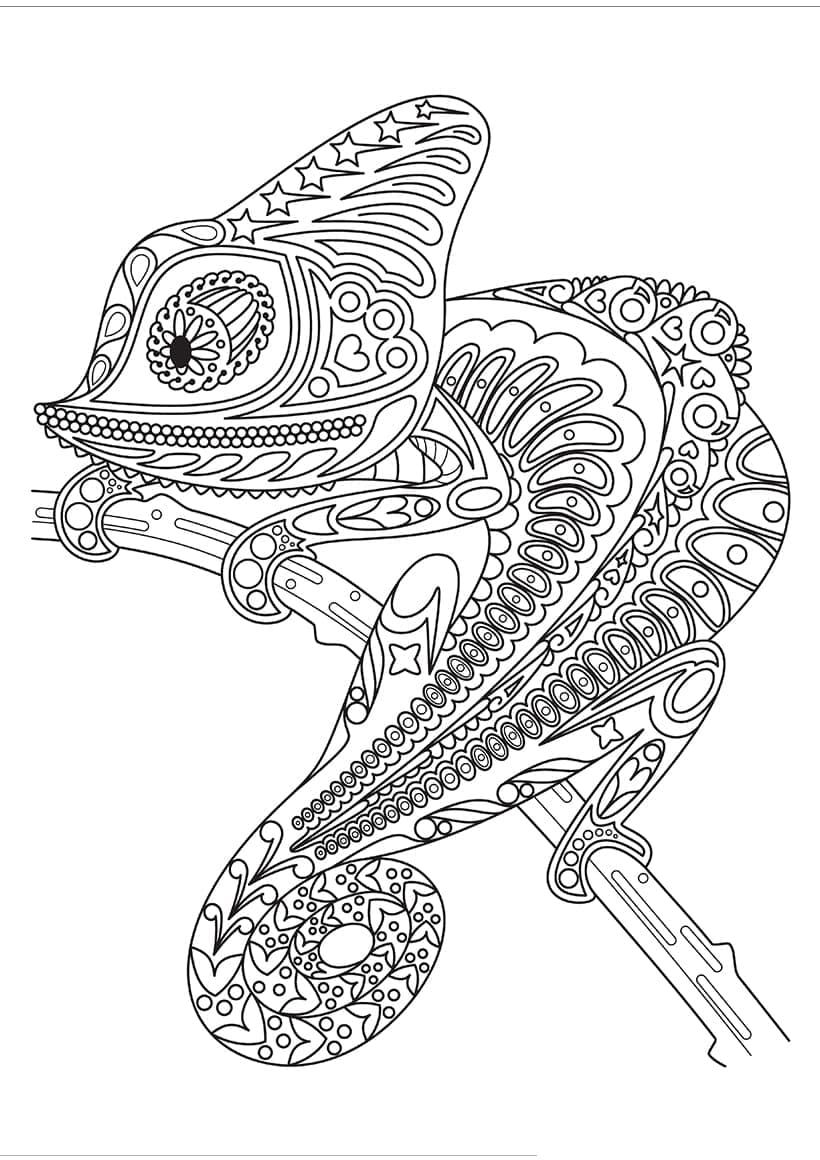 Desenho Camaleão do Yemen Realista para Colorir