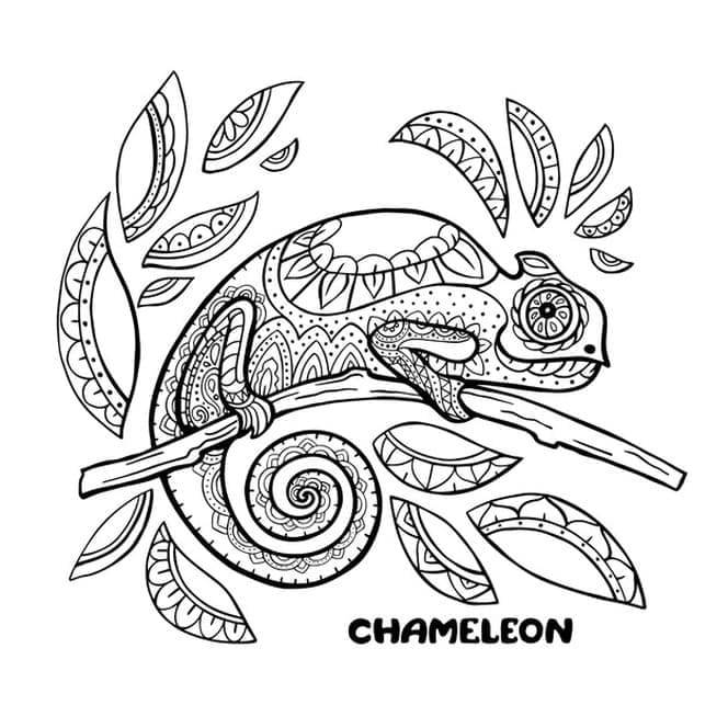 Desenho de Camaleão Fofo para Colorir e Imprimir
