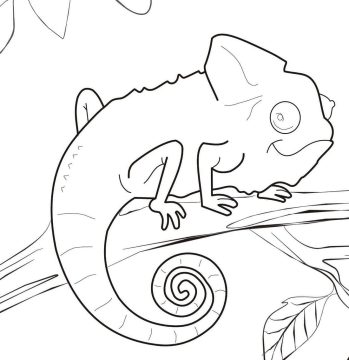 Desenho de camaleão Infantil para Colorir e Imprimir