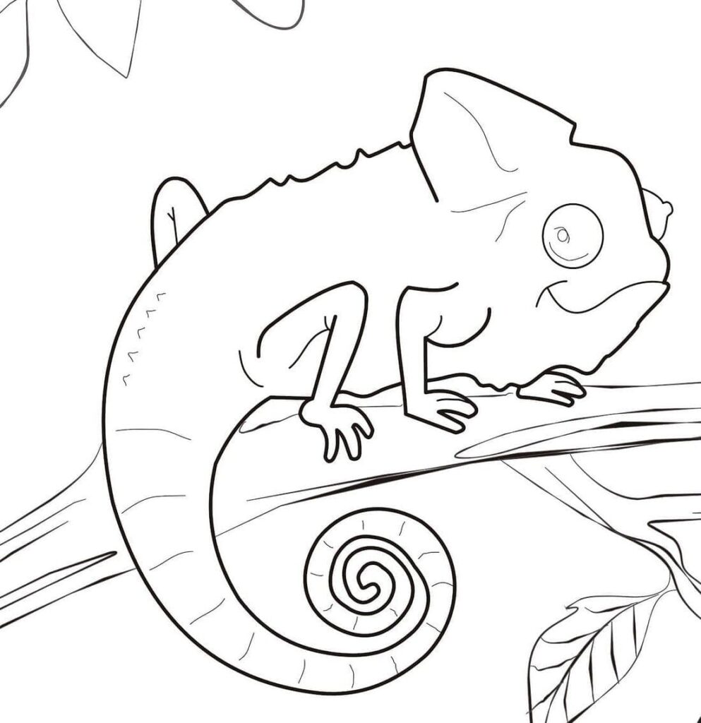 Desenho de Camaleão Infantil para Colorir e Imprimir