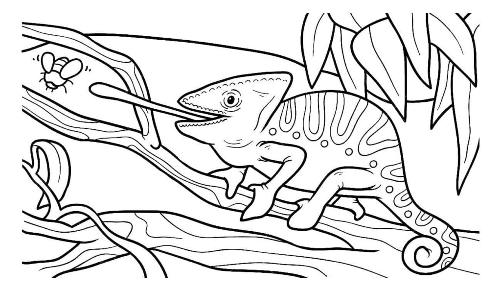 Desenho de Camaleão para Colorir e Imprimir Pdf Grátis