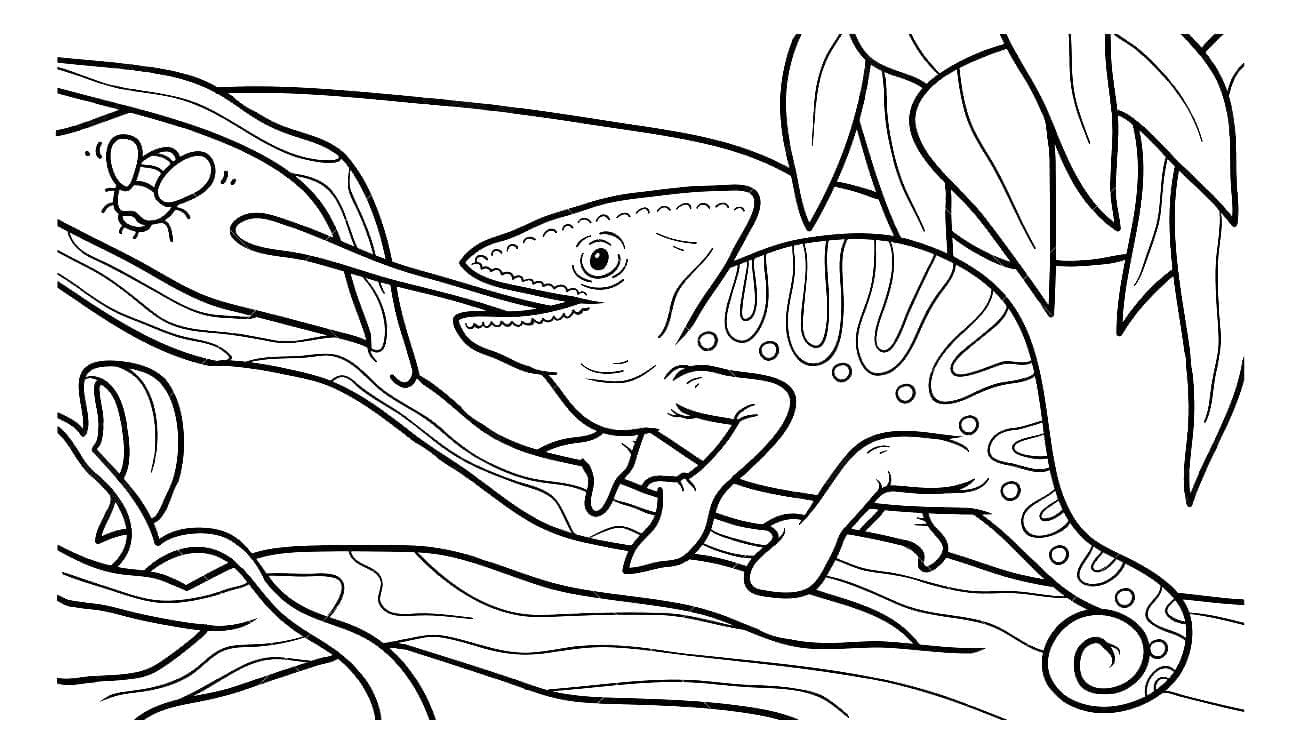 Desenho de Camaleão para Colorir e Imprimir Pdf Grátis
