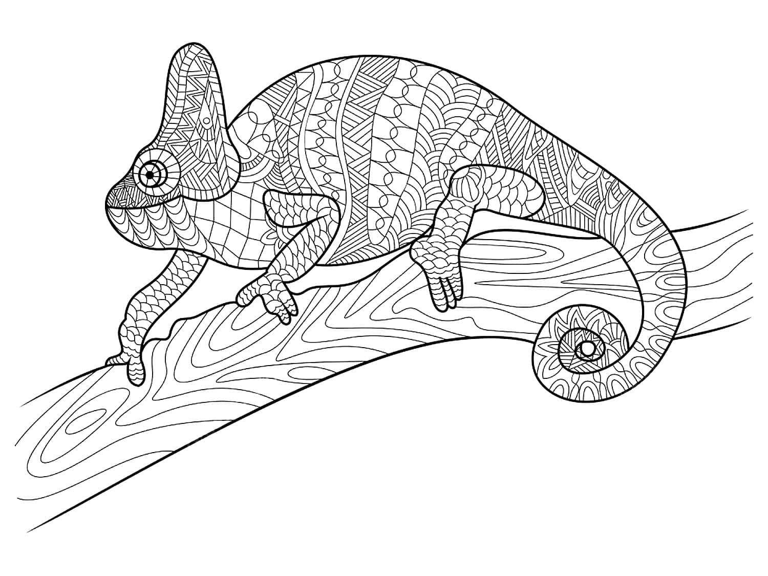 Desenho de Camaleão para Colorir e Pintar com Tinta Guache