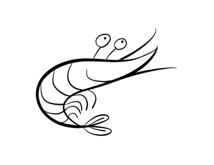 Desenho de Camarão Fofo para Colori