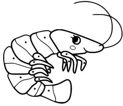 Desenho de Lindo camarão para Colori