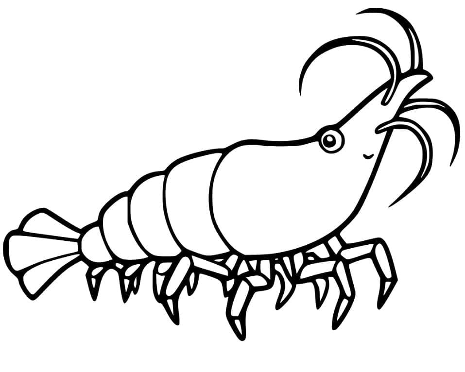 Desenhos de Camarão para Colorir
