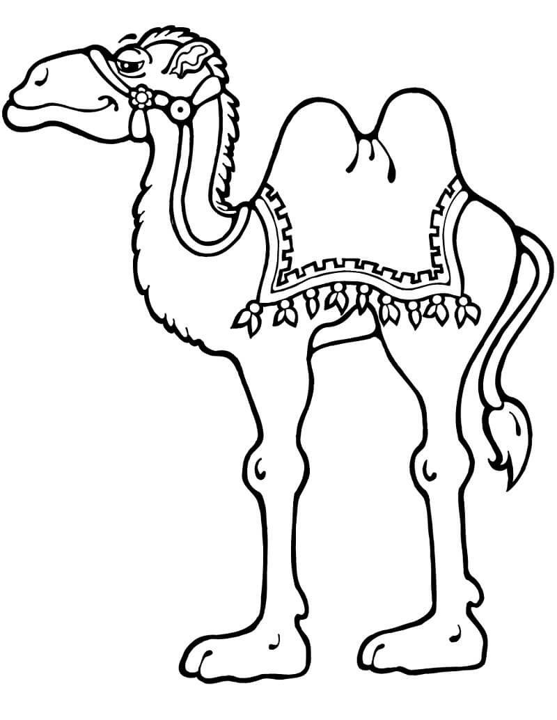 Desenho de Camelo com Cenário para Colorir e Imprimir