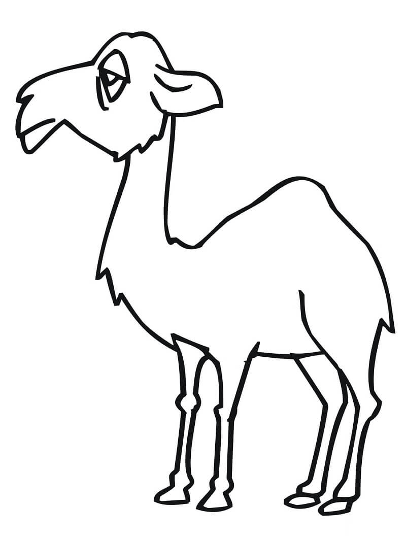 Desenho de Camelo Engraçado com Detalhes para Colorir e Imprimir