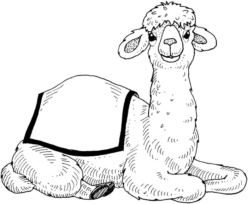 Desenho de Camelo Engraçado Fofo para Colorir e Imprimir