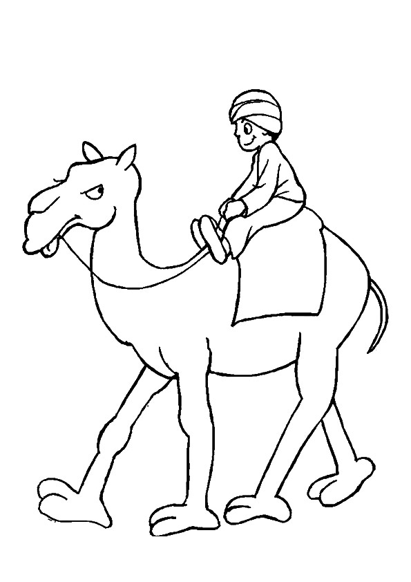 Desenho de Camelo Engraçado para Colorir com Lápis de Cor e Imprimir