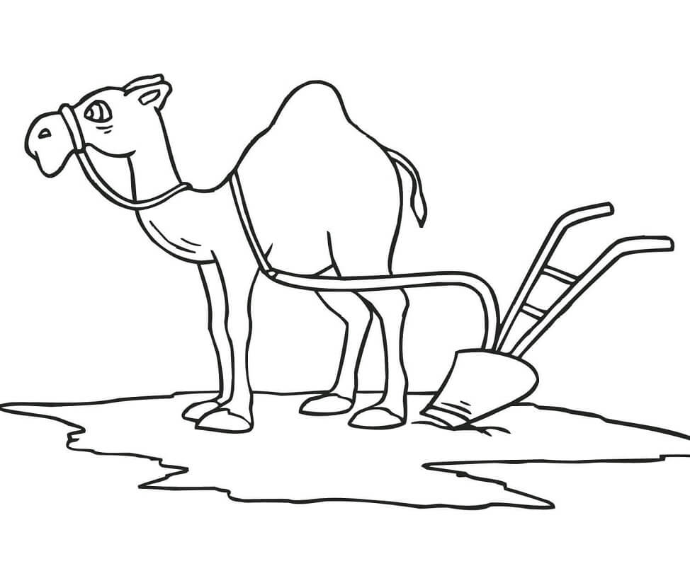 Desenho de Camelo para Colorir com Lápis de Cor e Imprimir