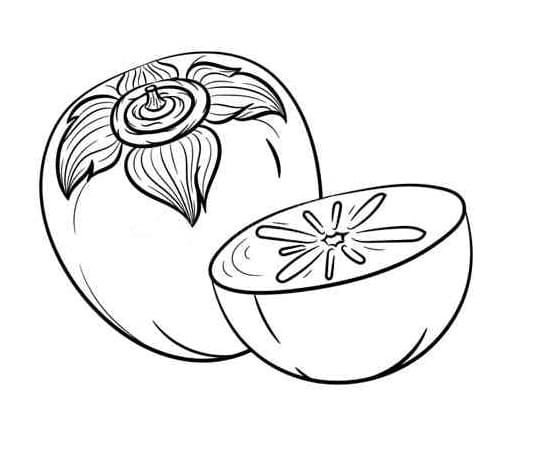 Baixar Desenho de Caqui para Colorir Gratuitamente