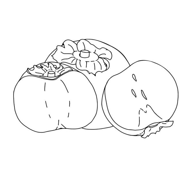 Desenho de Caqui Grátis para Crianças para Colorir