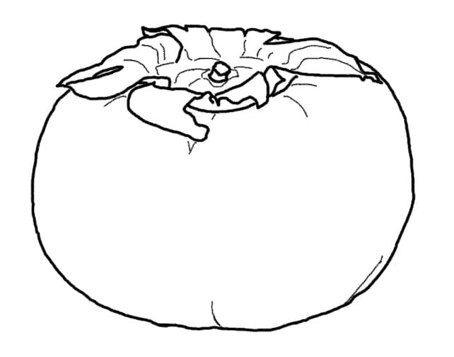 Desenho de Caqui Muito Fácil para Colorir