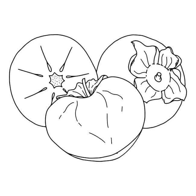 Desenho de Caqui para Crianças para Colorir