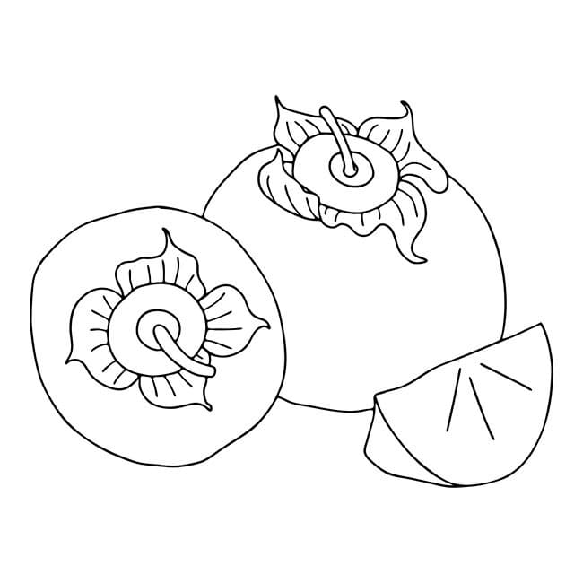 Desenho de Caqui para Desenhar e Colorir Grátis em Pdf