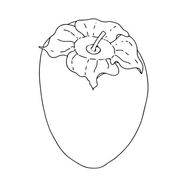 Desenho de Caqui Pequeno para Colorir