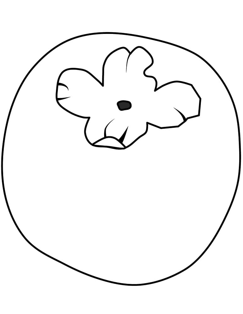 Desenho de Caqui Simples para Colorir