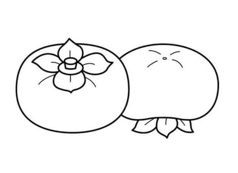 Desenho de Dois Caquis para Colorir