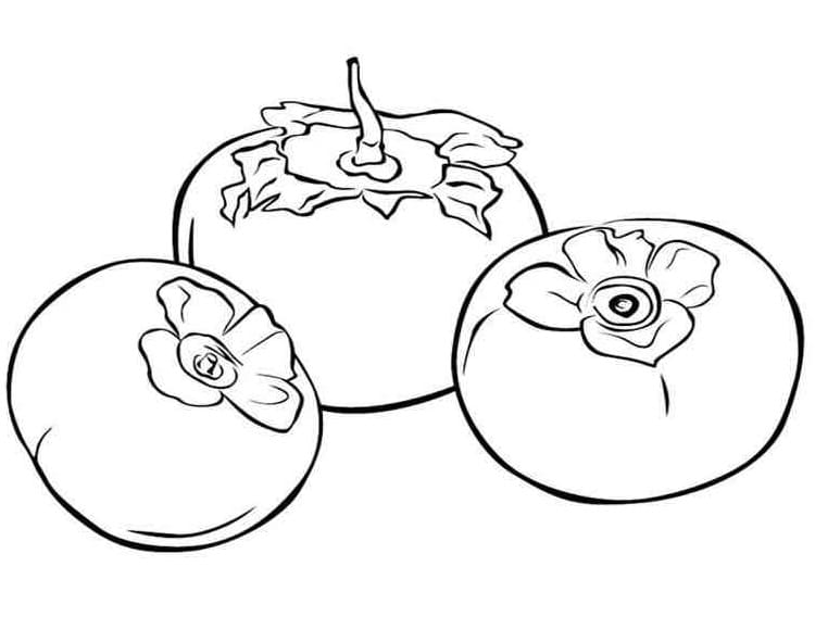 Desenho de Três Caquis para Colorir