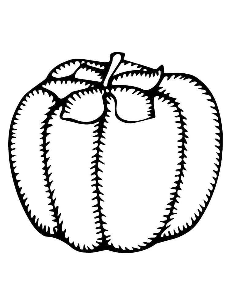 Desenhos de Caqui para Colorir