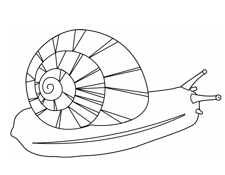 Desenho de um Caracol Fácil de Desenhar e Colorir
