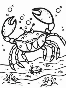 Desenho de Um Caranguejo para Colorir