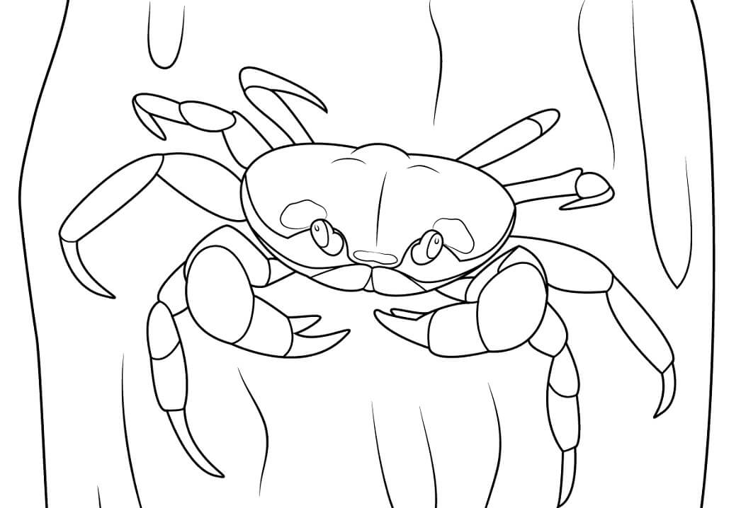 Desenho Caranguejo do Halloween para Colorir