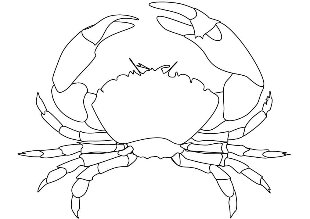 Desenho Caranguejo Gorducho para Colorir