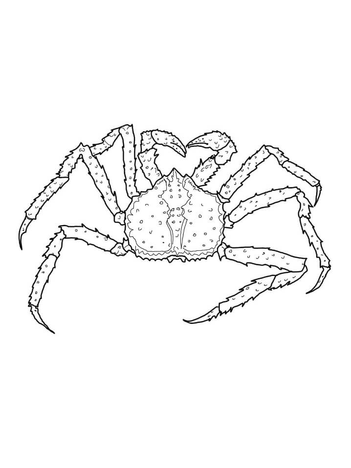 Desenho de Caranguejo Fofo para Imprimir