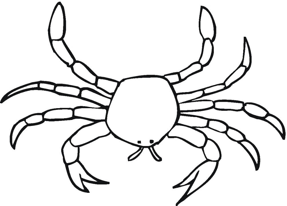 Desenho de Caranguejo no Mar para Imprimir