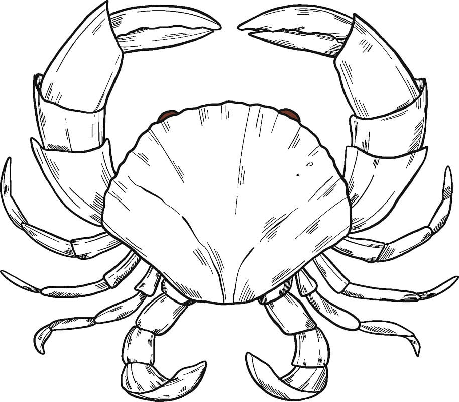 Desenho de Caranguejo para Colorir Pdf