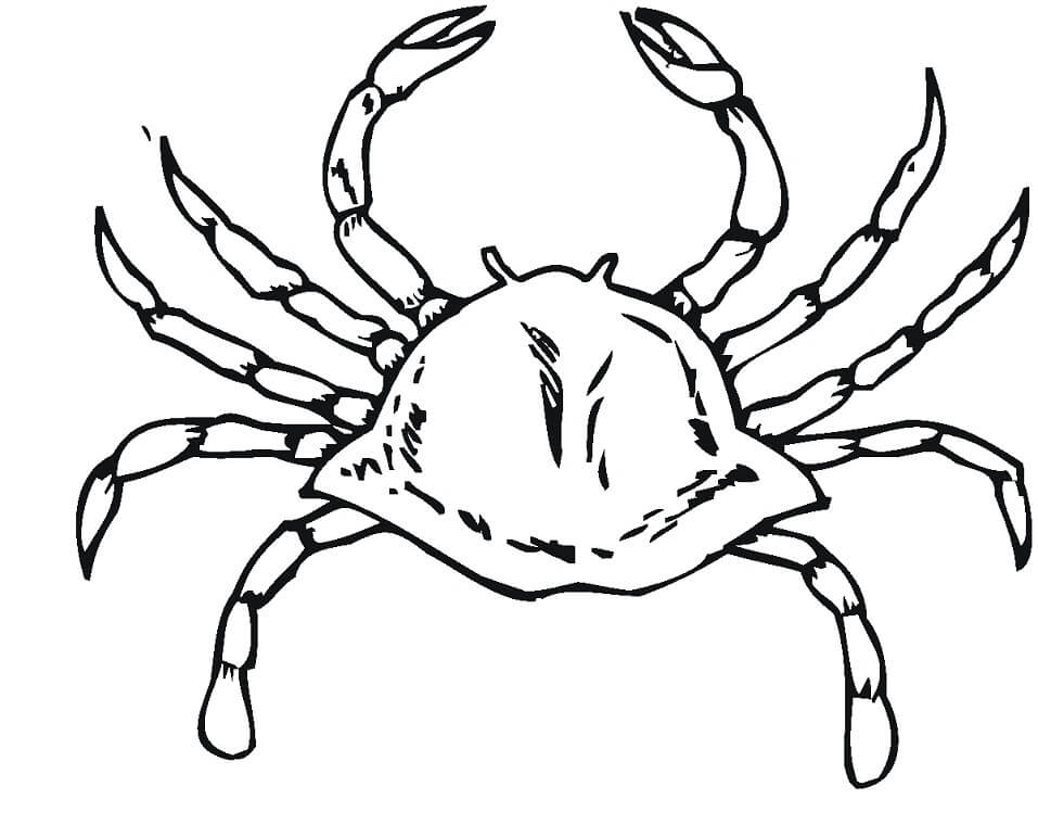 Desenhos de Caranguejo para Colorir