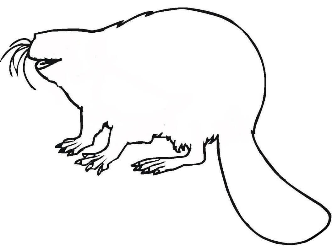 Desenho de Castor Normal no Lago para Imprimir