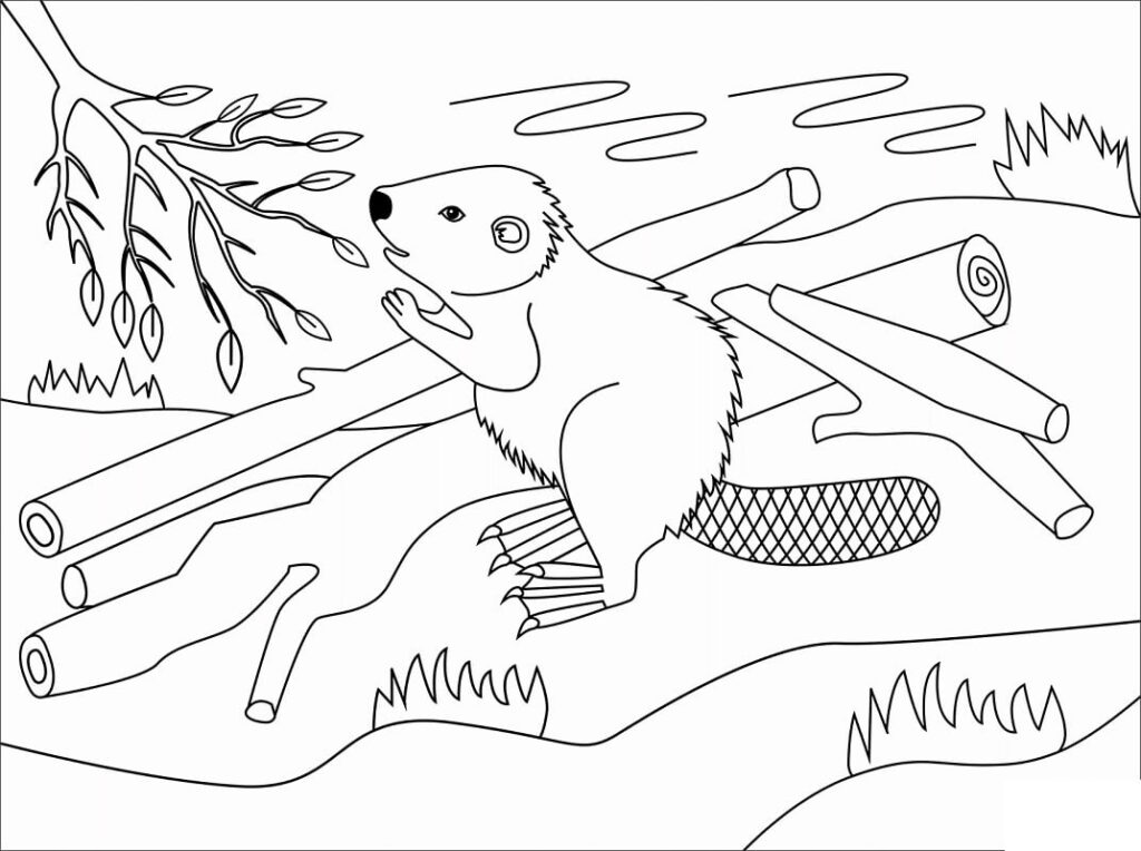 Desenho de Castor Normal para Colorir Pdf