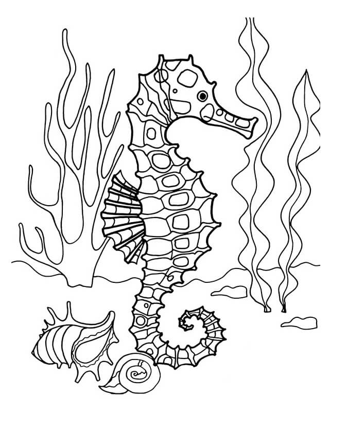 Desenho de Cavalo Marinho Colorido para Colorir Pdf