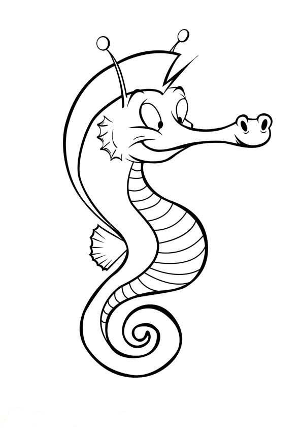 Desenho de Cavalo Marinho Fofo para Colorir Pdf