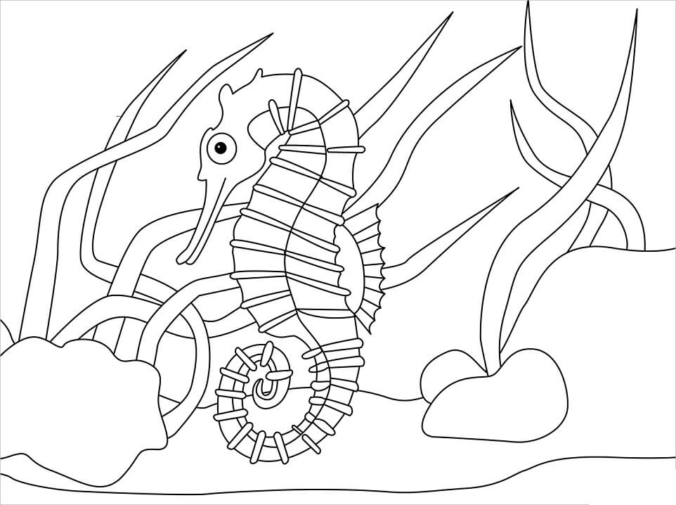 Desenho de Cavalo Marinho Grande para Colorir Pdf