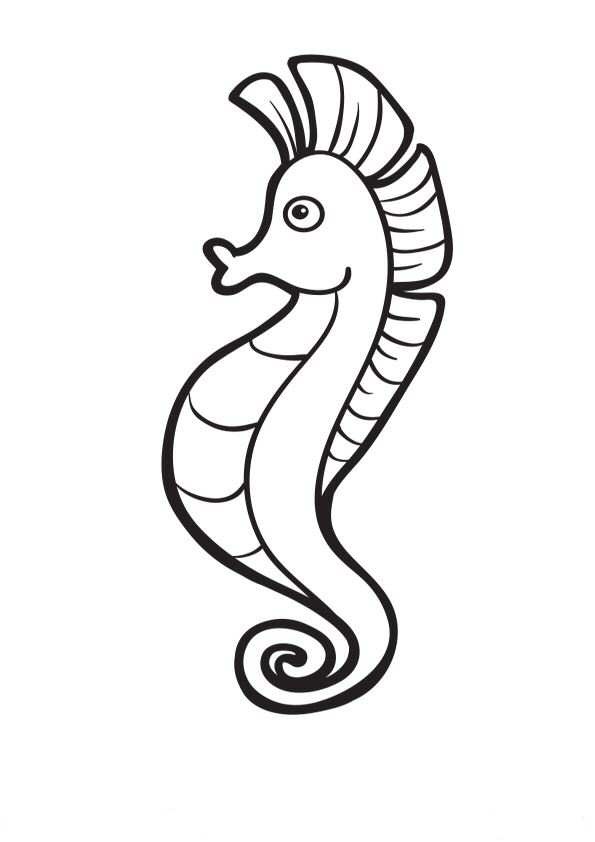 Desenho de Cavalo Marinho para Imprimir Lápis de Cor