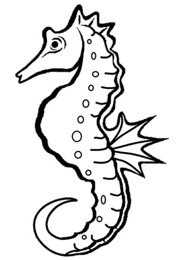 Desenho de Cavalo Marinho Pequeno para Imprimir Lápis de Cor