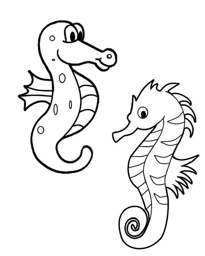 Desenhos de Cavalo Marinho para Colorir