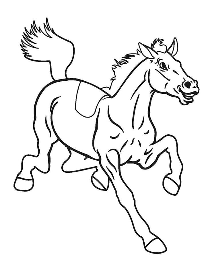 Desenho de Cavalo Correndo para Colorir