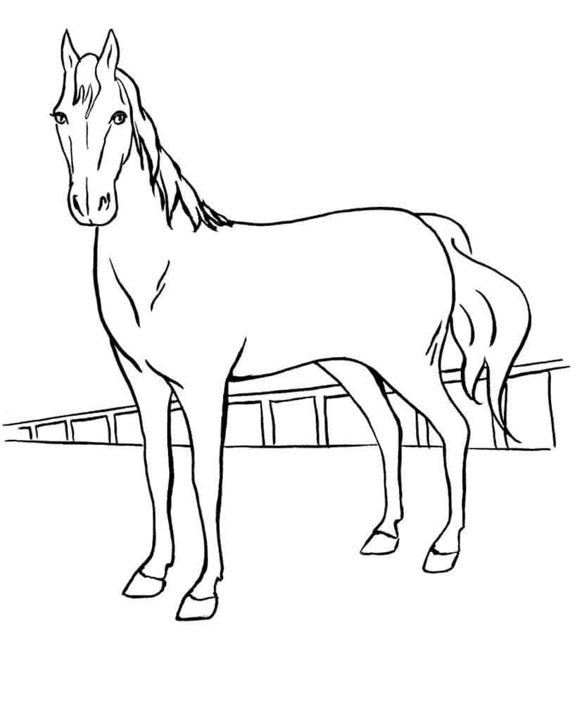 Desenho de Cavalo Fácil para Colorir