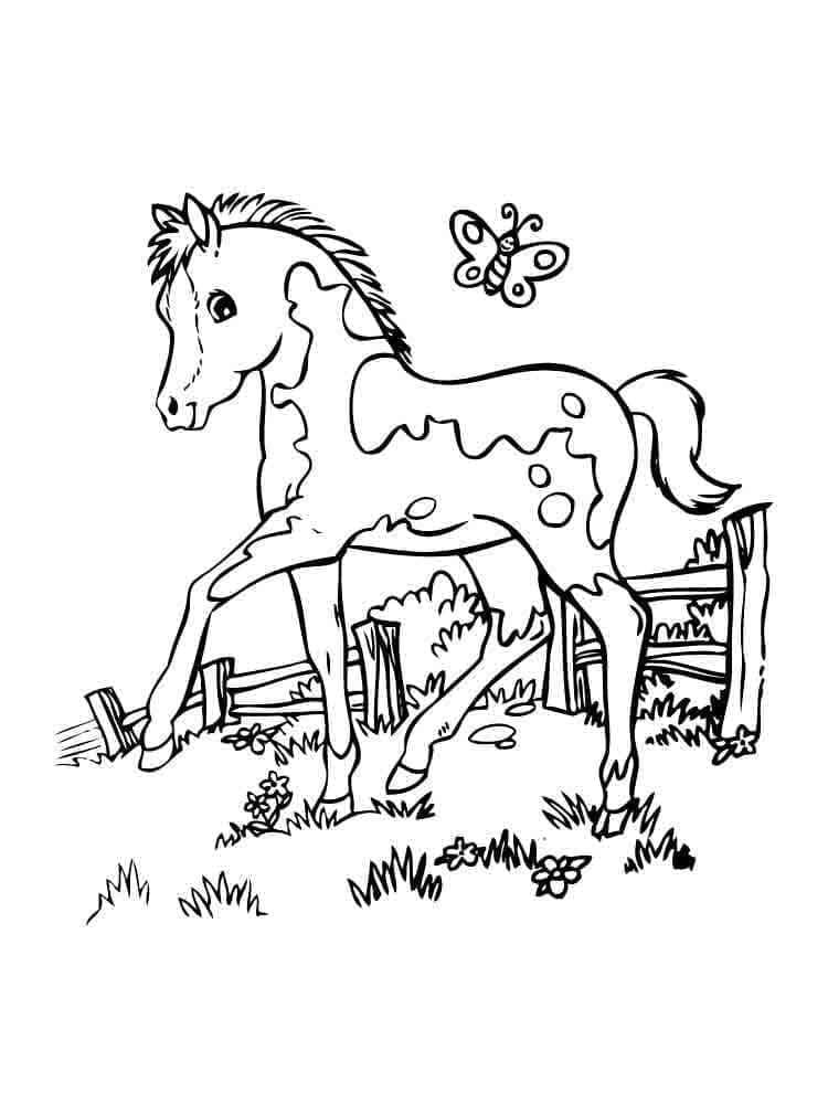 Desenho de Cavalo Fofo para Colorir