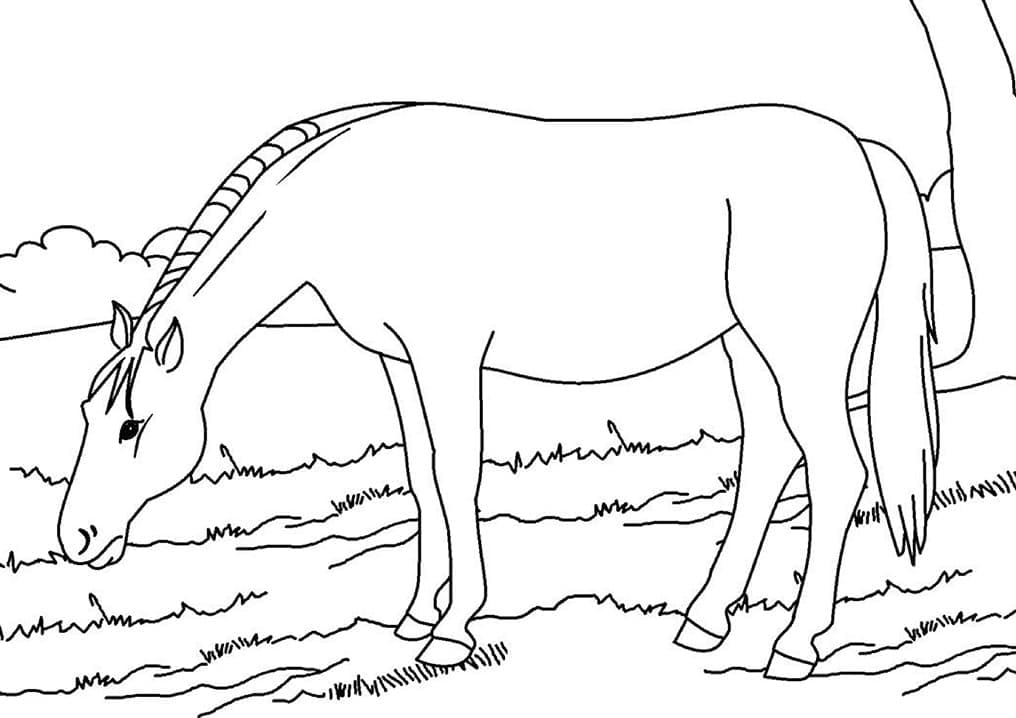 Desenho de Cavalo Grátis para Crianças para Colorir